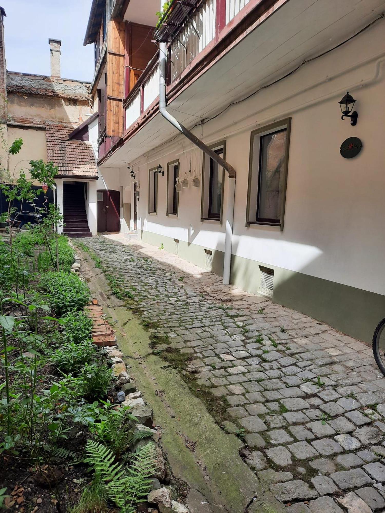 Kron Kalista * Brasov